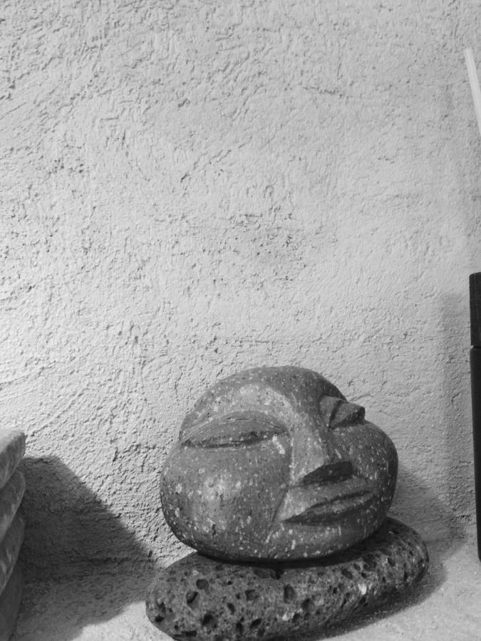 Happy Bentveld Guesthouse Exteriér fotografie